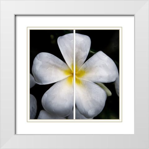 Smile White Modern Wood Framed Art Print with Double Matting by Villa, Mlli