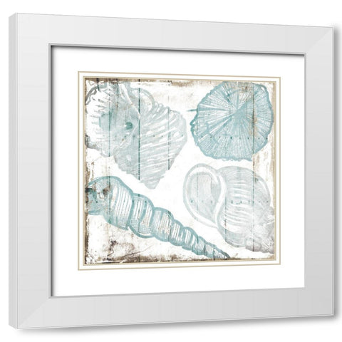 Sketched Shells White Modern Wood Framed Art Print with Double Matting by Villa, Mlli