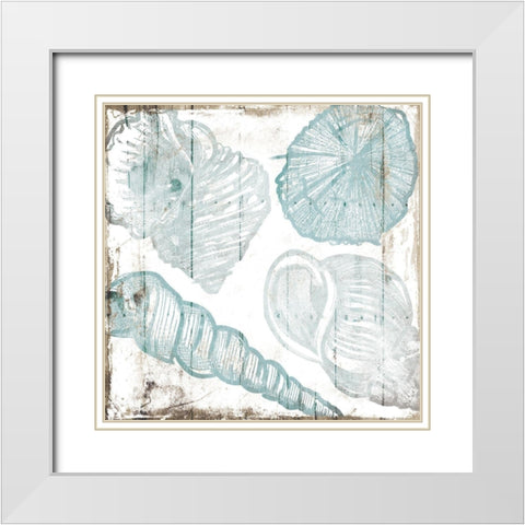 Sketched Shells White Modern Wood Framed Art Print with Double Matting by Villa, Mlli