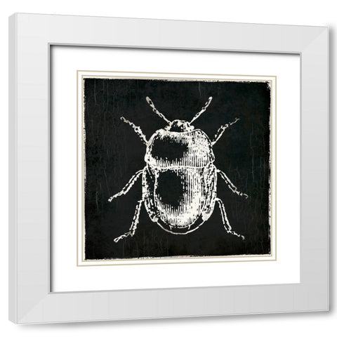 Bug Life Black White Modern Wood Framed Art Print with Double Matting by Villa, Mlli