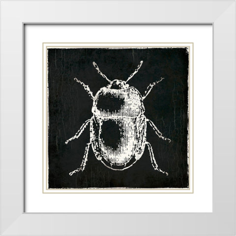 Bug Life Black White Modern Wood Framed Art Print with Double Matting by Villa, Mlli