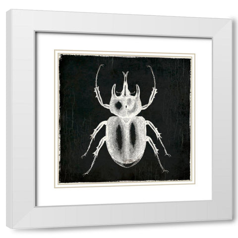 Bug Life Two Black White Modern Wood Framed Art Print with Double Matting by Villa, Mlli