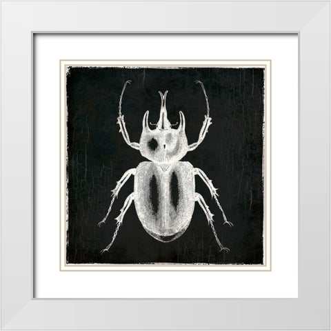 Bug Life Two Black White Modern Wood Framed Art Print with Double Matting by Villa, Mlli