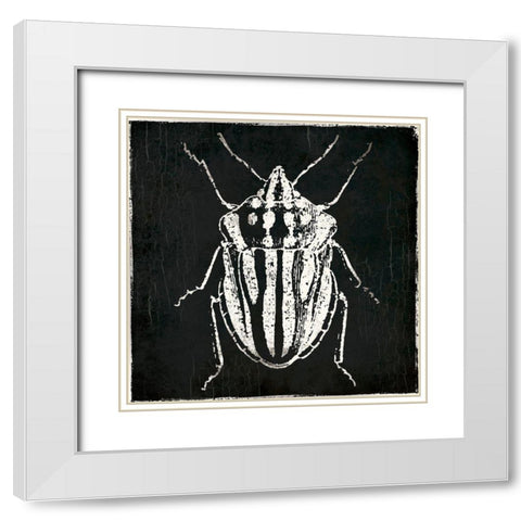 Bug Life Three Black White Modern Wood Framed Art Print with Double Matting by Villa, Mlli