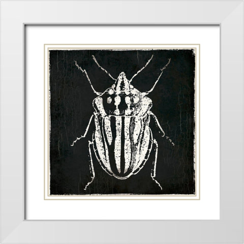 Bug Life Three Black White Modern Wood Framed Art Print with Double Matting by Villa, Mlli