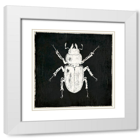 Bug Life Four Black White Modern Wood Framed Art Print with Double Matting by Villa, Mlli