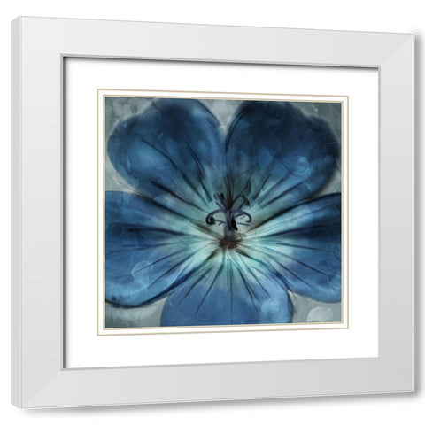Uplifting Blue Flower White Modern Wood Framed Art Print with Double Matting by Villa, Mlli