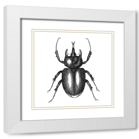 Bug Life Two White Modern Wood Framed Art Print with Double Matting by Villa, Mlli