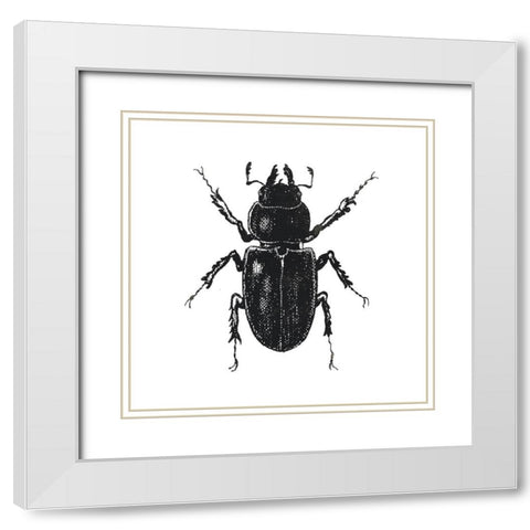Bug Life Four White Modern Wood Framed Art Print with Double Matting by Villa, Mlli