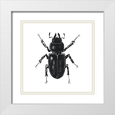 Bug Life Four White Modern Wood Framed Art Print with Double Matting by Villa, Mlli