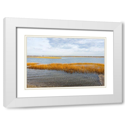 Winter Marsh White Modern Wood Framed Art Print with Double Matting by Orlando