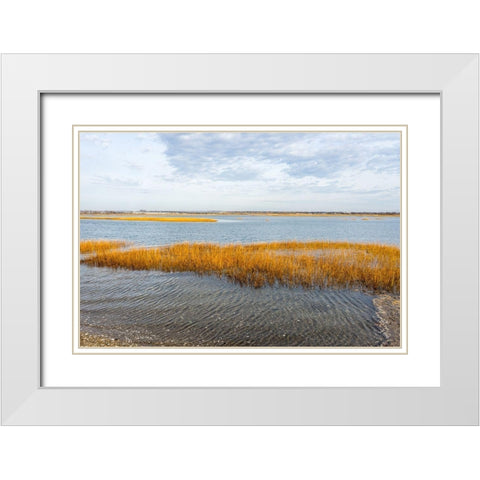 Winter Marsh White Modern Wood Framed Art Print with Double Matting by Orlando