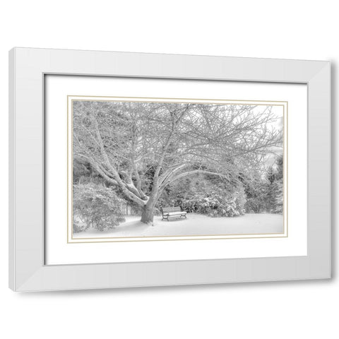 Aboretum December 2 White Modern Wood Framed Art Print with Double Matting by DeLuca, Pat