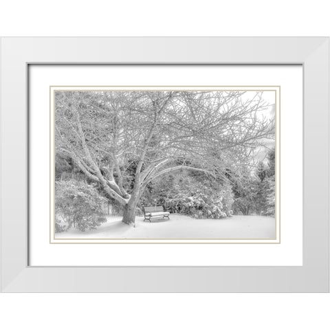 Aboretum December 2 White Modern Wood Framed Art Print with Double Matting by DeLuca, Pat
