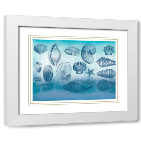 Watercolor Coast Shells White Modern Wood Framed Art Print with Double Matting by Allen, Candace