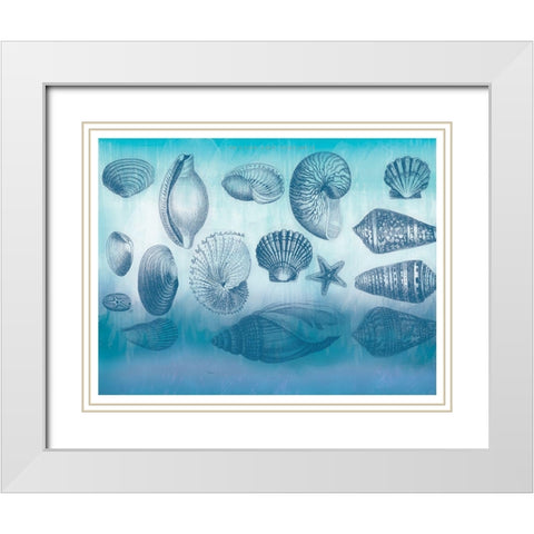 Watercolor Coast Shells White Modern Wood Framed Art Print with Double Matting by Allen, Candace