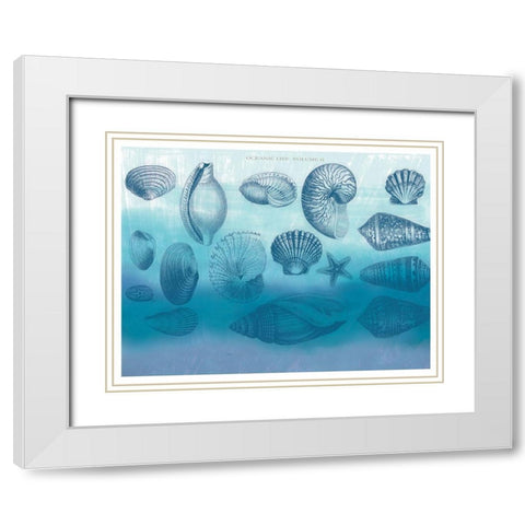 Watercolor Coast Shells 2 White Modern Wood Framed Art Print with Double Matting by Allen, Candace