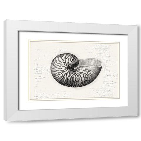 Shell White Modern Wood Framed Art Print with Double Matting by Lula Bijoux and Company
