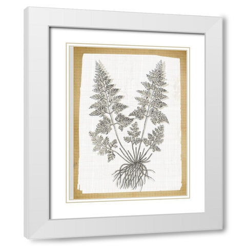 Farmhouse Ferns 1 White Modern Wood Framed Art Print with Double Matting by Lula Bijoux and Company