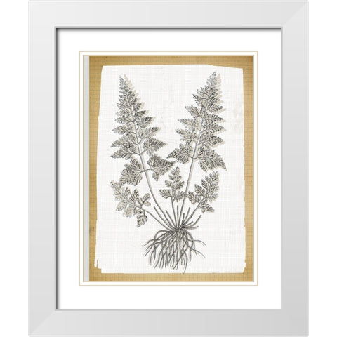 Farmhouse Ferns 1 White Modern Wood Framed Art Print with Double Matting by Lula Bijoux and Company