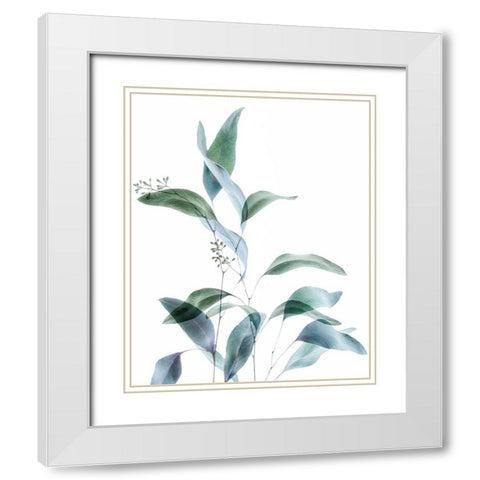 Gentle Botanical 1 White Modern Wood Framed Art Print with Double Matting by Poinski, Dianne