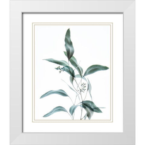 Gentle Botanical 2 White Modern Wood Framed Art Print with Double Matting by Poinski, Dianne