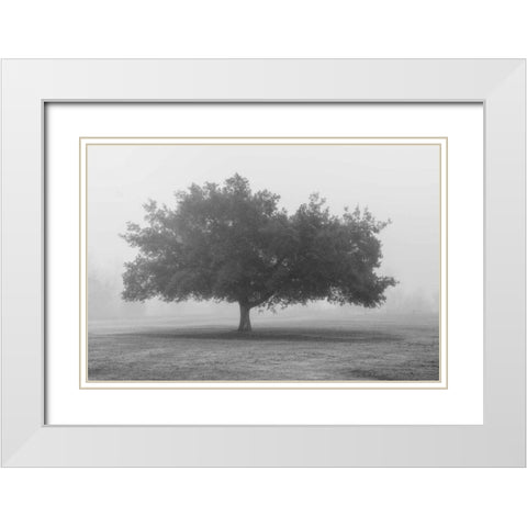 Trees in Fog BW White Modern Wood Framed Art Print with Double Matting by Poinski, Dianne