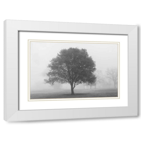 Trees in Fog BW White Modern Wood Framed Art Print with Double Matting by Poinski, Dianne