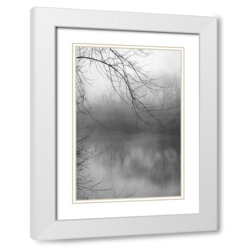 Misty Pond 1 BW White Modern Wood Framed Art Print with Double Matting by Poinski, Dianne