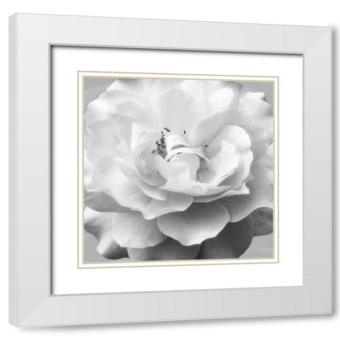 Beautiful Dreams 1 White Modern Wood Framed Art Print with Double Matting by Poinski, Dianne