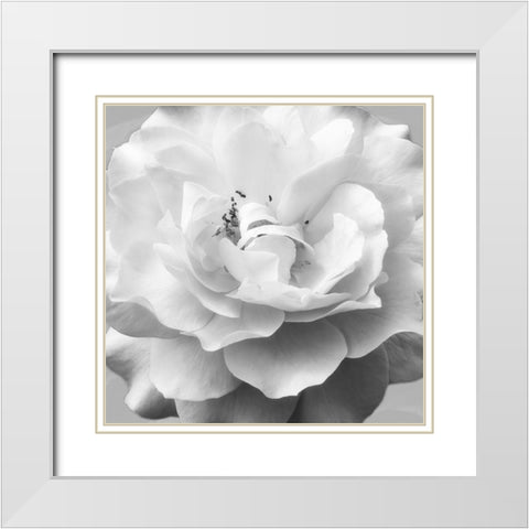 Beautiful Dreams 1 White Modern Wood Framed Art Print with Double Matting by Poinski, Dianne