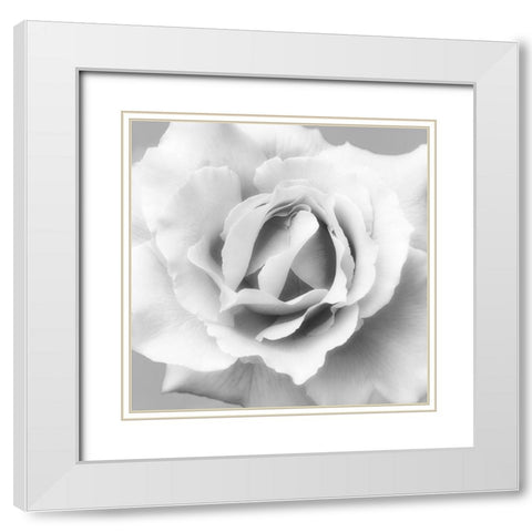 Beautiful Dreams 2 White Modern Wood Framed Art Print with Double Matting by Poinski, Dianne