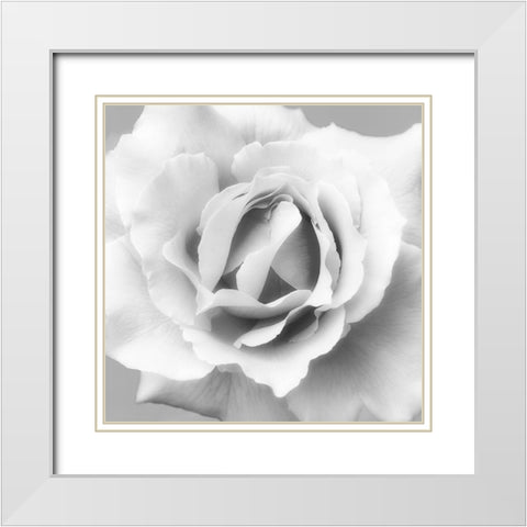 Beautiful Dreams 2 White Modern Wood Framed Art Print with Double Matting by Poinski, Dianne