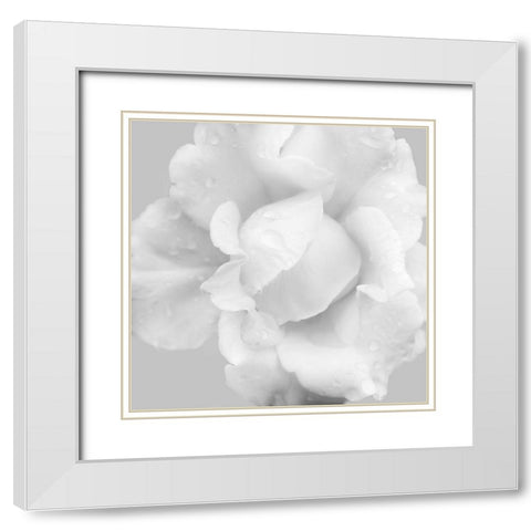 Beautiful Dreams 3 White Modern Wood Framed Art Print with Double Matting by Poinski, Dianne
