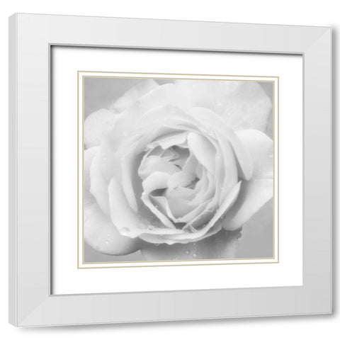Beautiful Dreams 4 White Modern Wood Framed Art Print with Double Matting by Poinski, Dianne