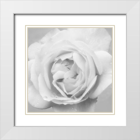 Beautiful Dreams 4 White Modern Wood Framed Art Print with Double Matting by Poinski, Dianne