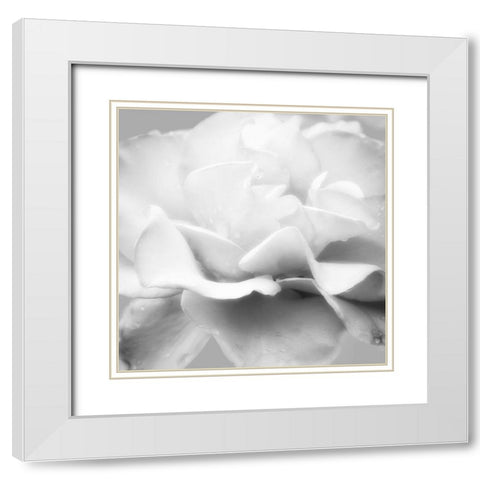 Beautiful Dreams 5 White Modern Wood Framed Art Print with Double Matting by Poinski, Dianne