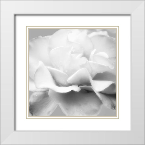 Beautiful Dreams 5 White Modern Wood Framed Art Print with Double Matting by Poinski, Dianne