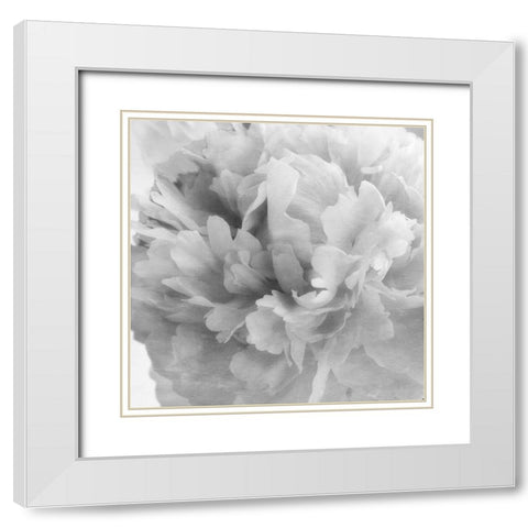 Blooming Intellect 1 White Modern Wood Framed Art Print with Double Matting by Poinski, Dianne