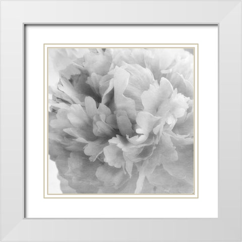 Blooming Intellect 1 White Modern Wood Framed Art Print with Double Matting by Poinski, Dianne