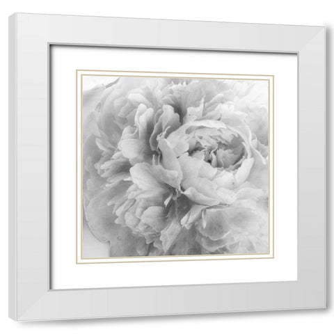 Blooming Intellect 2 White Modern Wood Framed Art Print with Double Matting by Poinski, Dianne