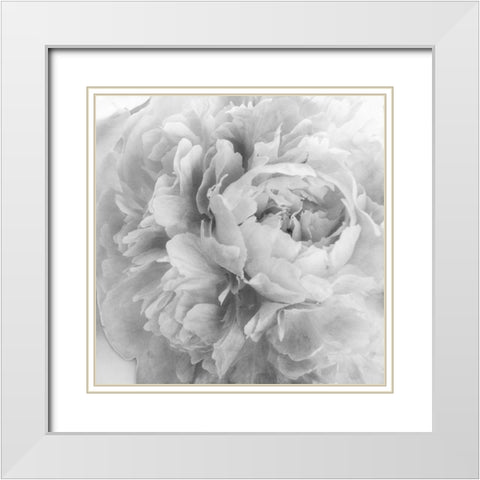 Blooming Intellect 2 White Modern Wood Framed Art Print with Double Matting by Poinski, Dianne