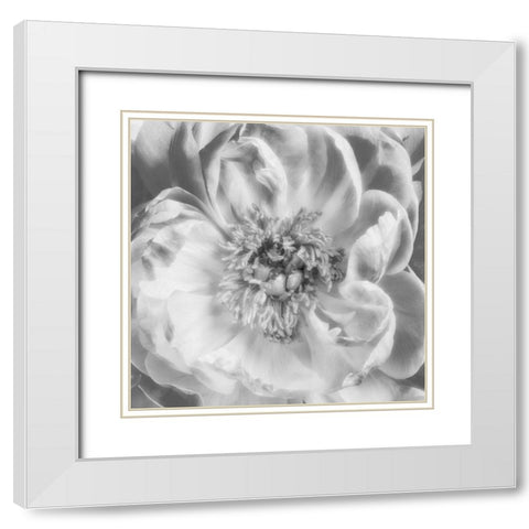 Blooming Intellect 3 White Modern Wood Framed Art Print with Double Matting by Poinski, Dianne