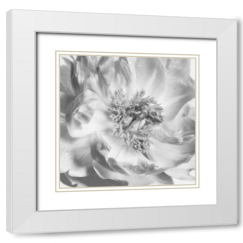 Blooming Intellect 4 White Modern Wood Framed Art Print with Double Matting by Poinski, Dianne