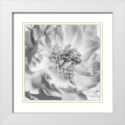 Blooming Intellect 4 White Modern Wood Framed Art Print with Double Matting by Poinski, Dianne