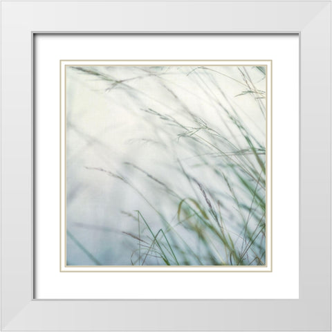 Bluff Grass I White Modern Wood Framed Art Print with Double Matting by Poinski, Dianne