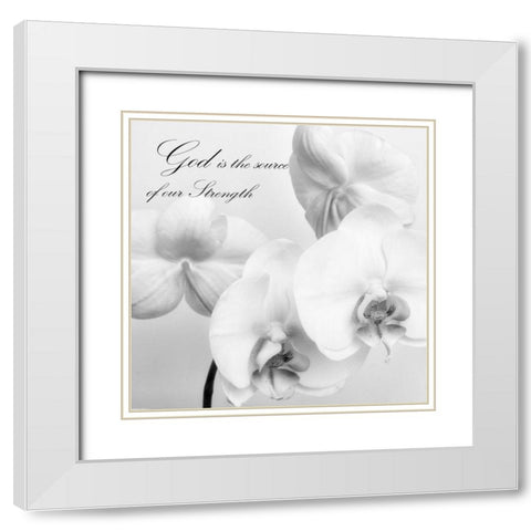 God Orchids White Modern Wood Framed Art Print with Double Matting by Poinski, Dianne