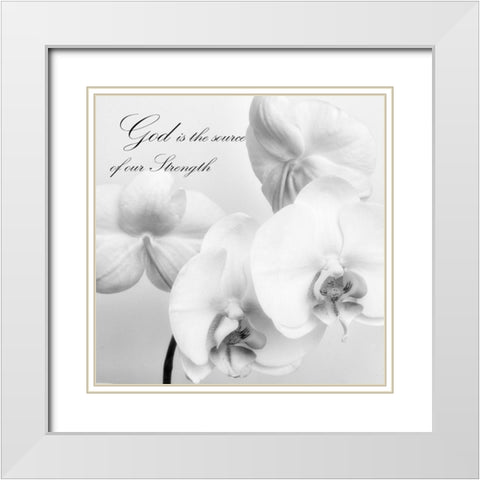 God Orchids White Modern Wood Framed Art Print with Double Matting by Poinski, Dianne