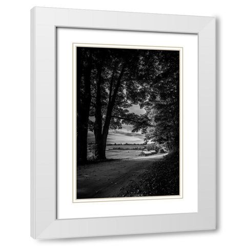 Jenne Farm Tree Tunnel White Modern Wood Framed Art Print with Double Matting by Rowland, Joseph