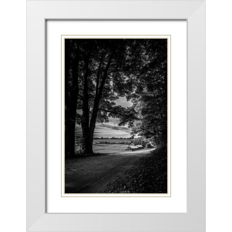 Jenne Farm Tree Tunnel White Modern Wood Framed Art Print with Double Matting by Rowland, Joseph